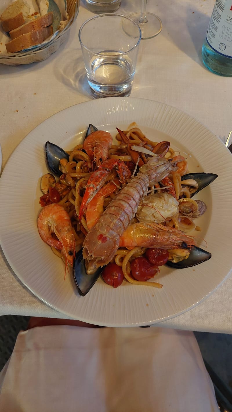 Lupo di Mare