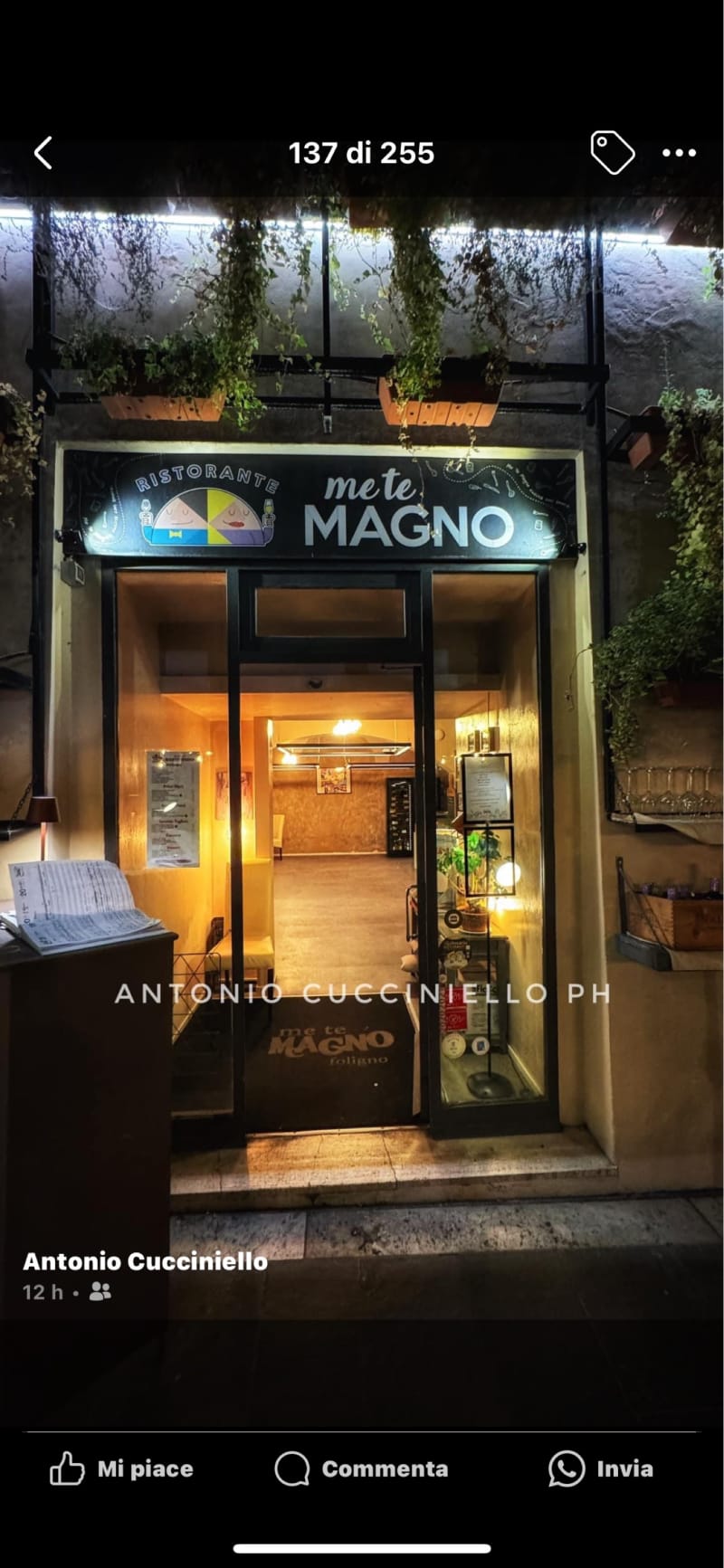 Ristorante Metemagno Foligno