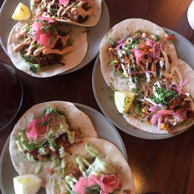 Fish Taco, Chicken Taco and Pulled Pork Taco - Condesa, Torrensville (SA)