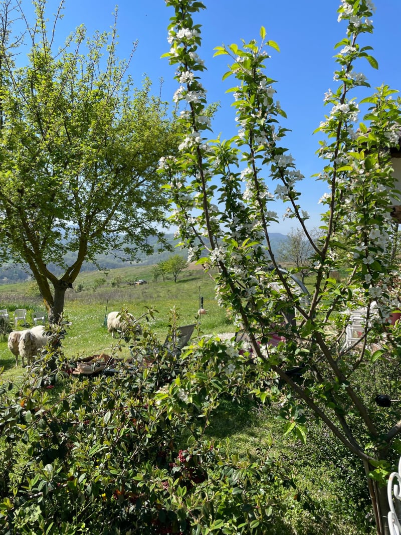 La Casa di Paglia