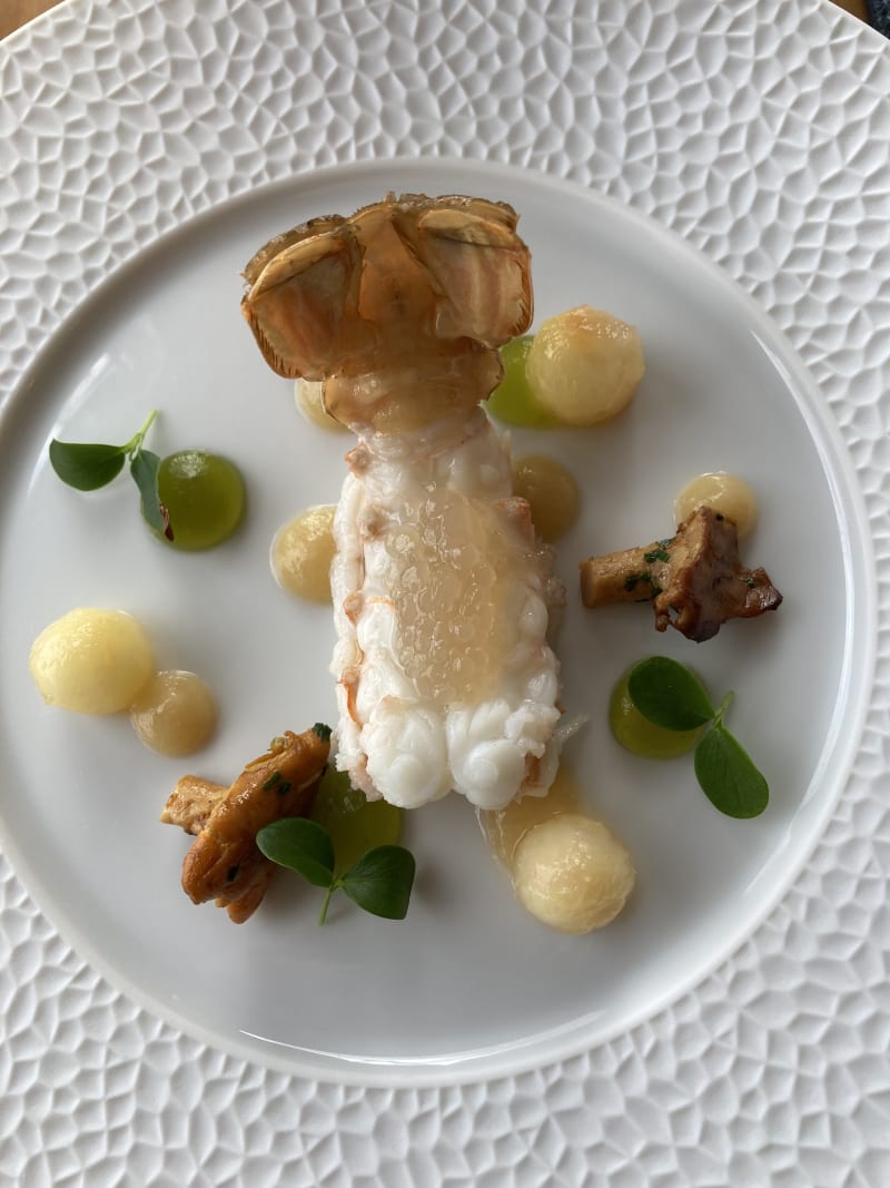 Entrée : langoustine et pêche - Le Panoramique du Domaine de la Corniche