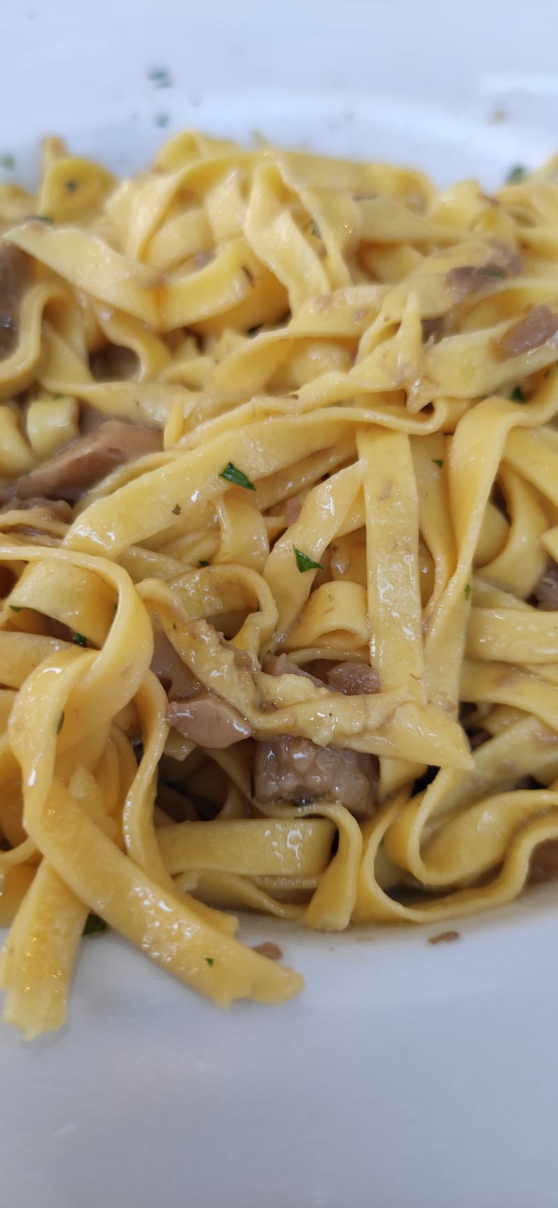 Tagliolini con Funghi Porcini - Nuovo Castello Ristorante