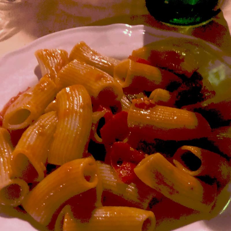 L’impasto dei rigatoni contiene  le erbette spontanee che nascono nell’orto dell’agriturismo, conditi con i pomodori dell’orto stesso. Tutto a km0. - Il Rifugio del Contadino