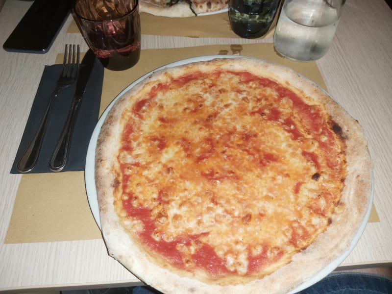 Vela Azzurra, Bologna