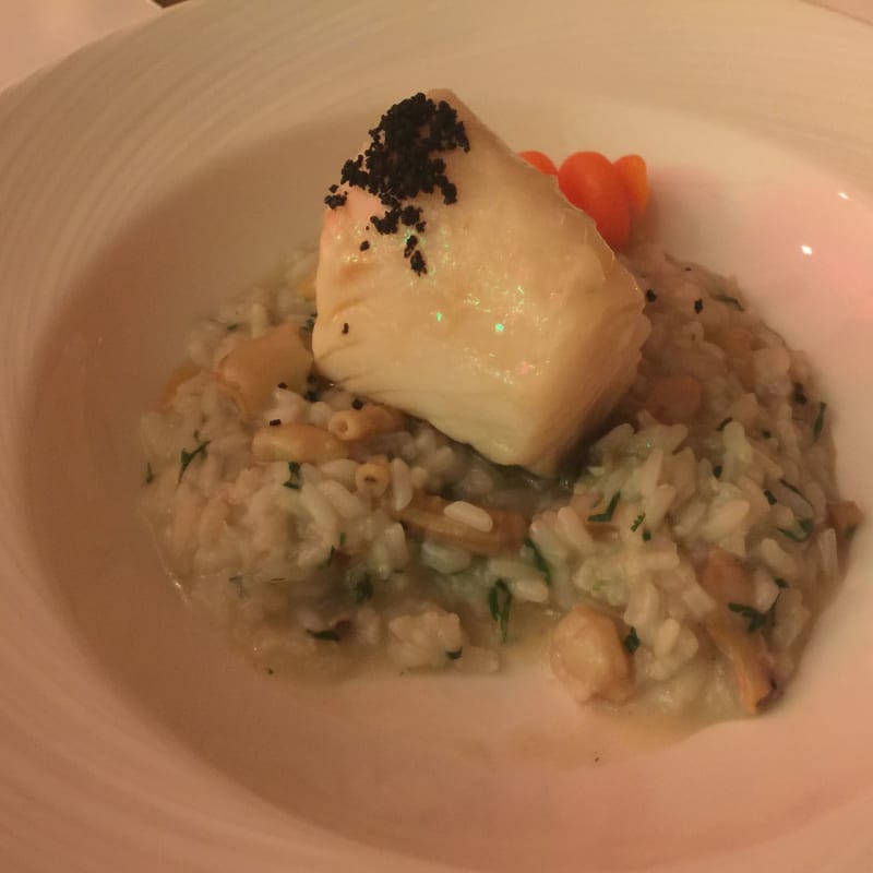 Codfish with rice was so tasty! - Luz - Iberostar Selection Lisboa, Lisbon