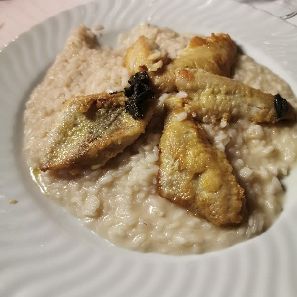 Risotto - Rock presso Hotel Concorde, Arona (Italy)