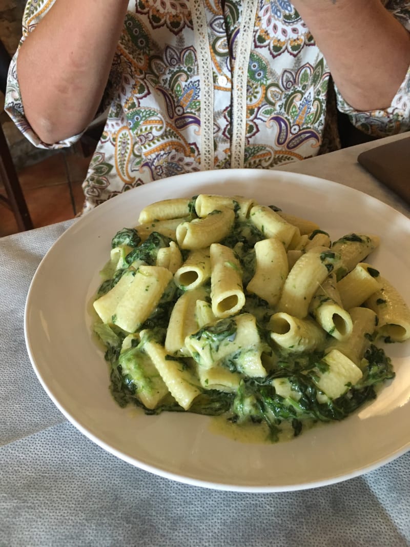 Rigatoni con crema di spinaci - Le Coccole