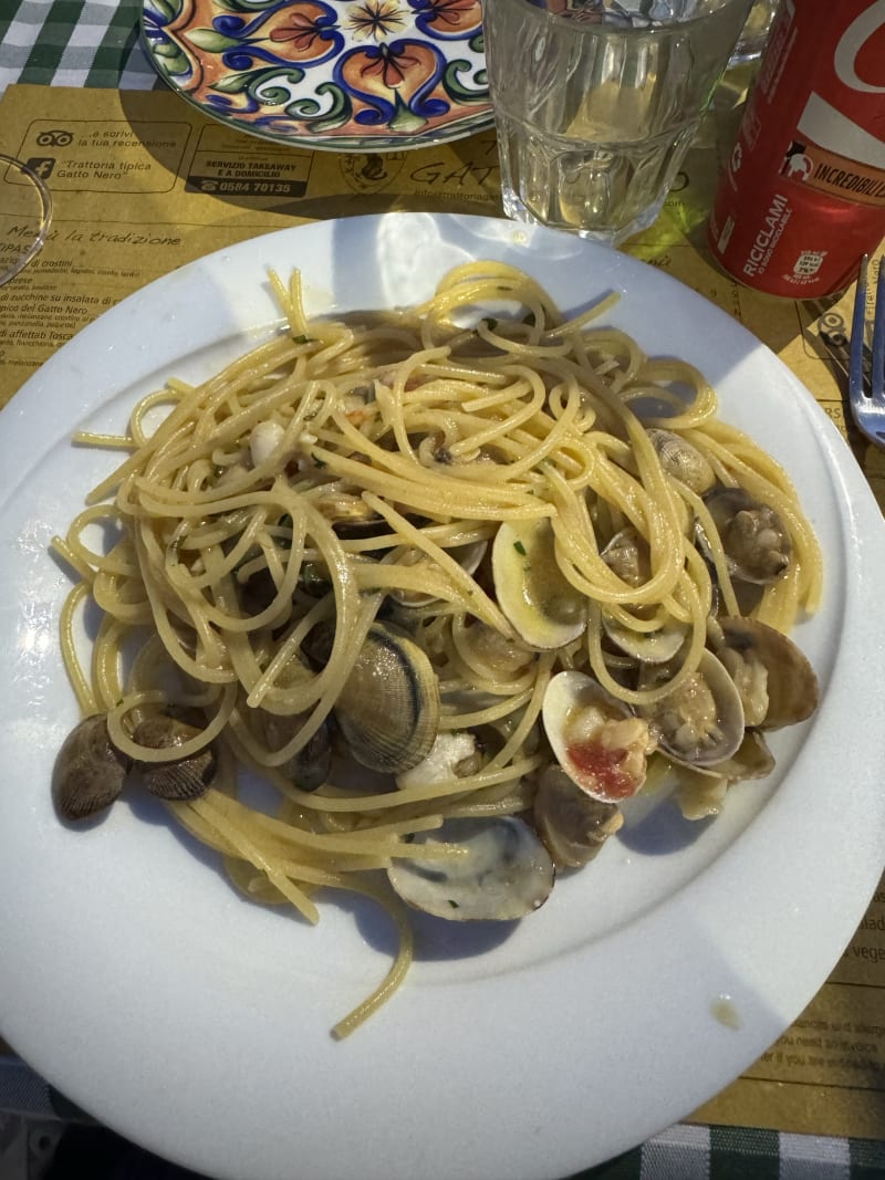 TRATTORIA GATTO NERO (Pietrasanta), Pietrasanta