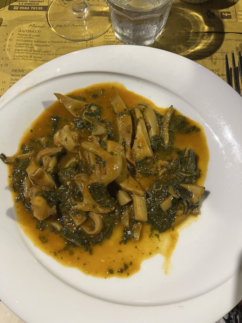 TRATTORIA GATTO NERO (Pietrasanta), Pietrasanta