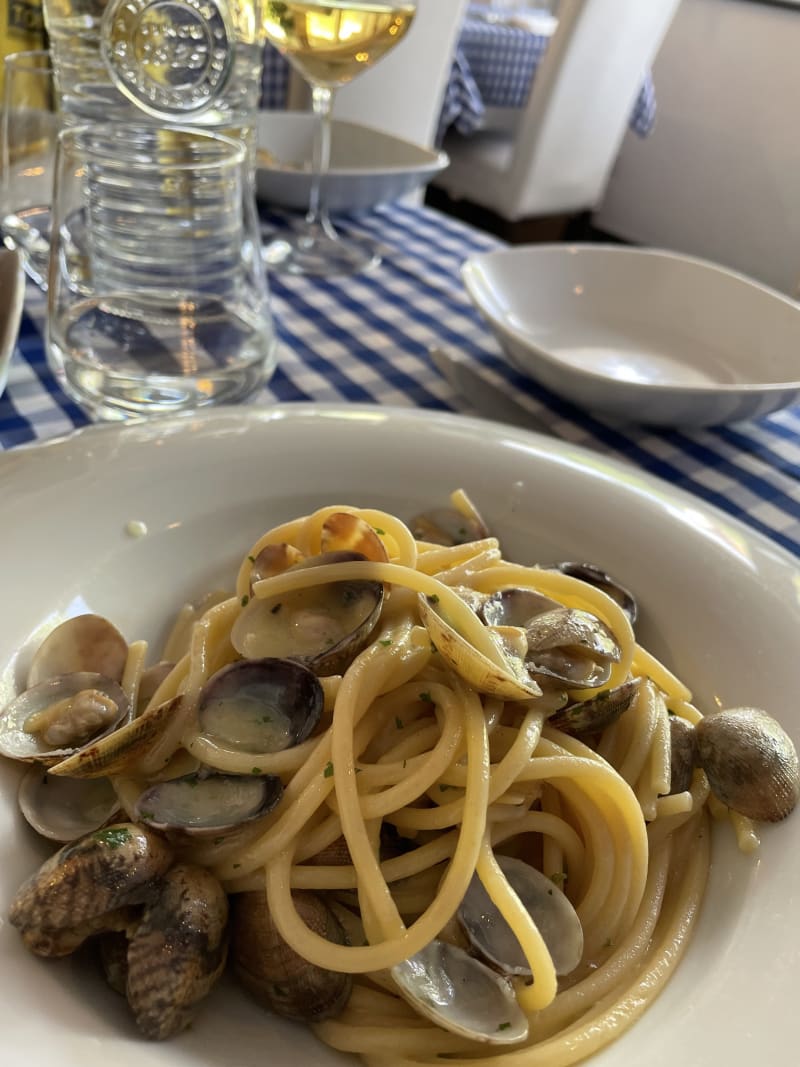 Talenti Del Mare, Rome