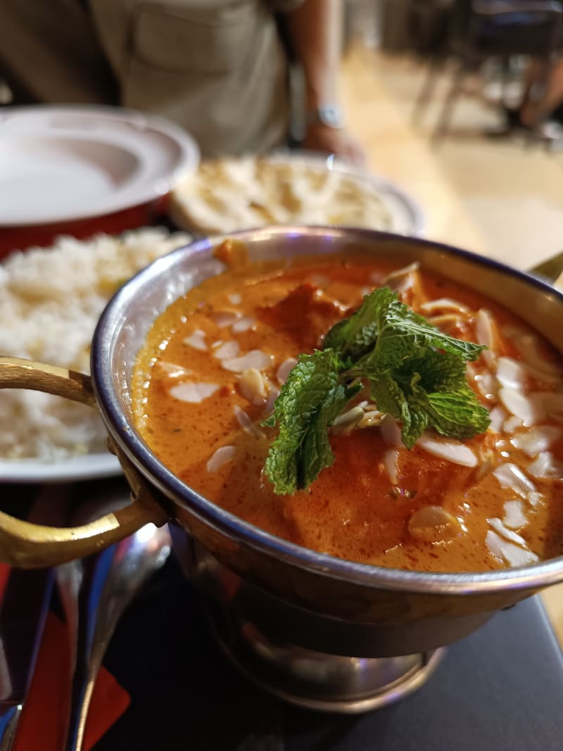 Restaurant Restaurant Lal Qila à Lyon Menu, avis, prix et réservation