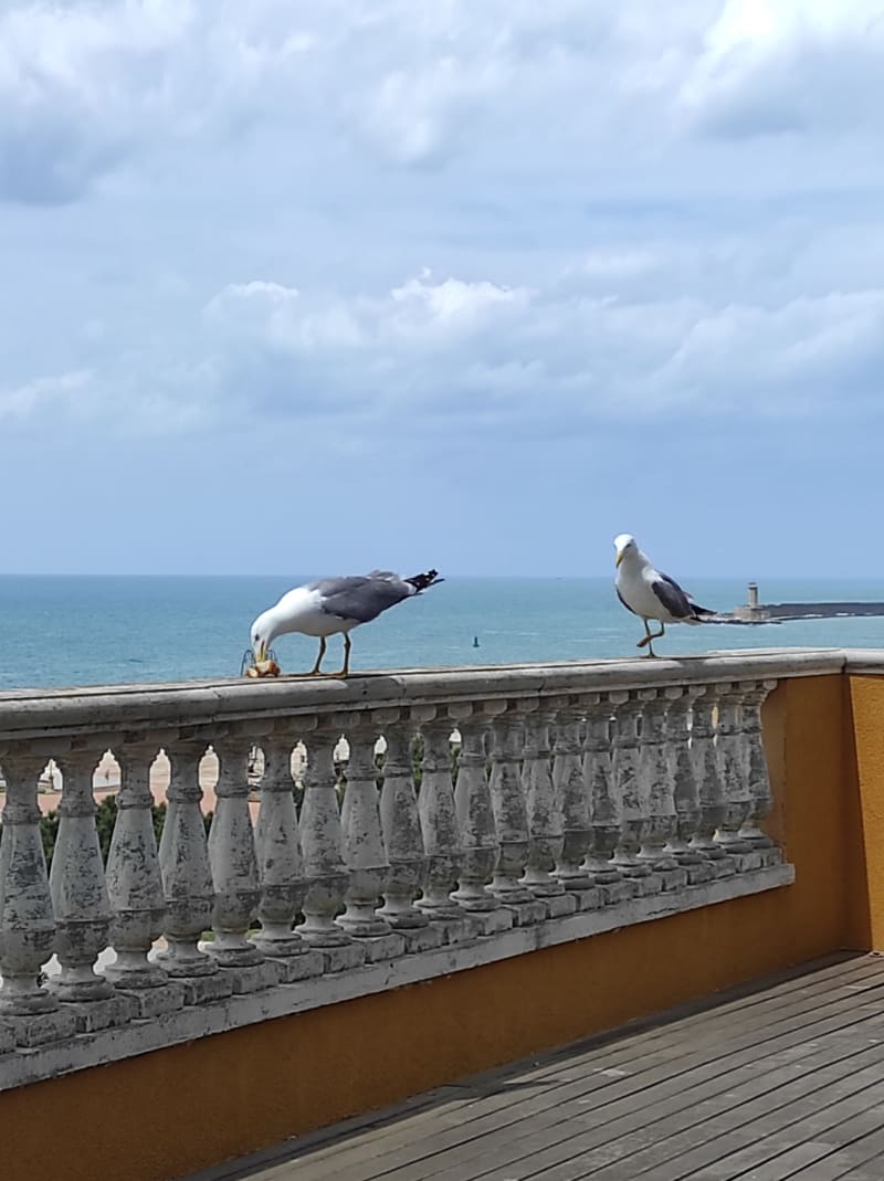 Mascagni Ristorante Livorno, Livorno