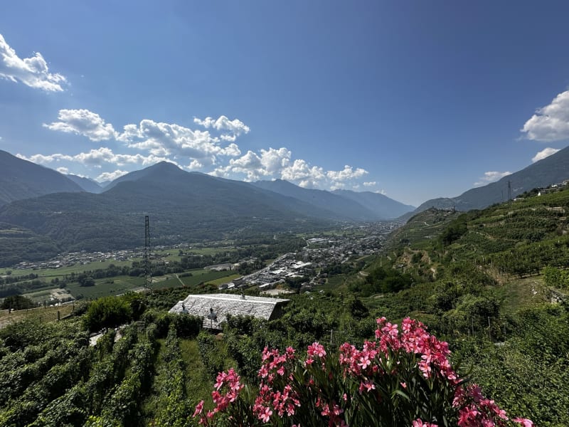 Ristorante Il Poggio