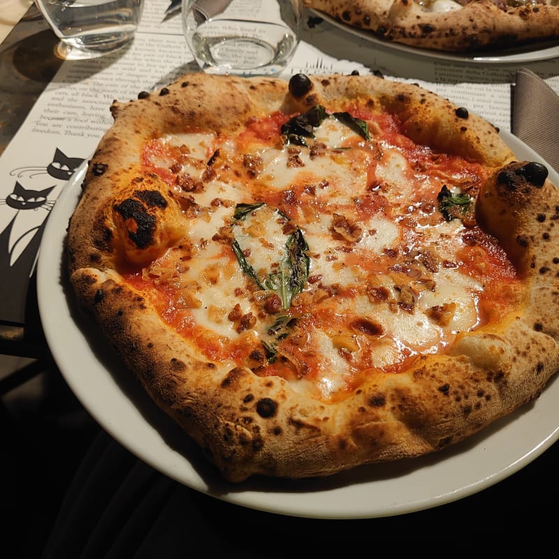 Dodici Menu I Dodici Gatti a Milano - Menu, prezzi, immagini, recensioni e ...