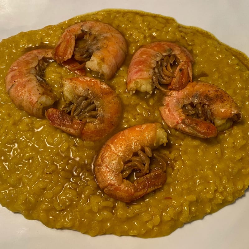 Risotto - Ippopotamus