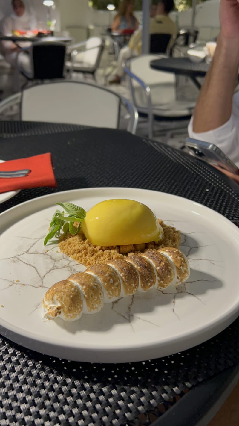 Martini Bar by Dolce & Gabbana in Marbella Menu, openingstijden