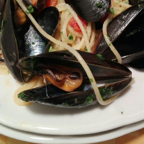 Molto buono - Trattoria Sicilia, Catania