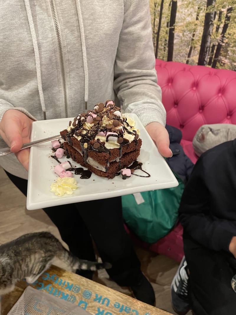 Kitty Café Leeds in Leeds Restaurant Reviews, Menu and Prices TheFork
