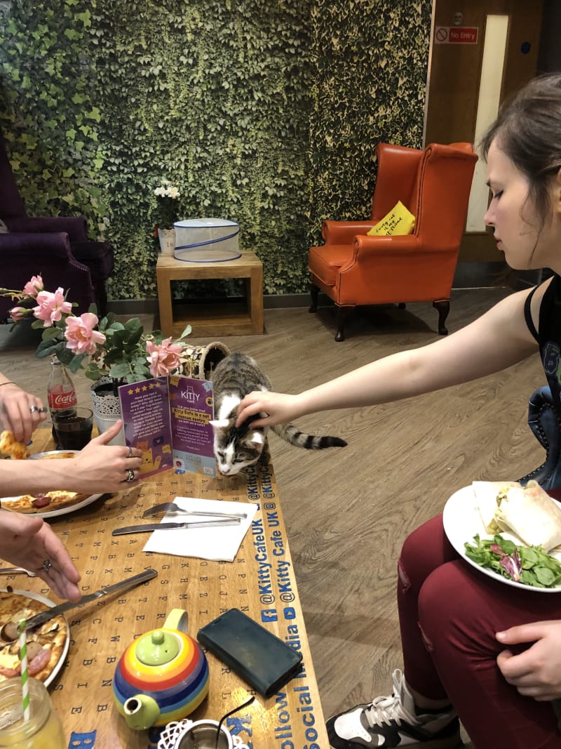 Kitty Café Leeds in Leeds Restaurant Reviews, Menu and Prices TheFork