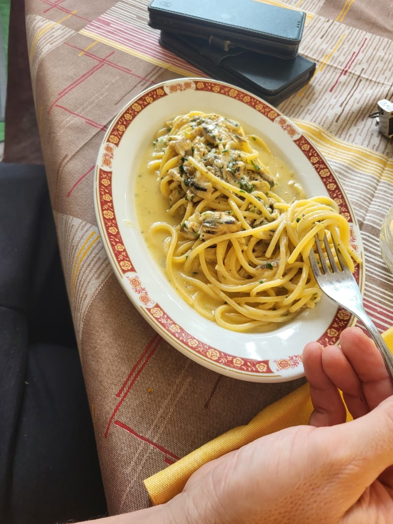 Dodici Ventiquattro, Salerno