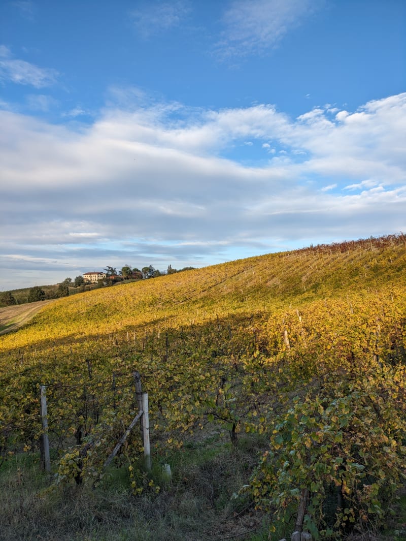 Borgo delle Vigne Agriturismo