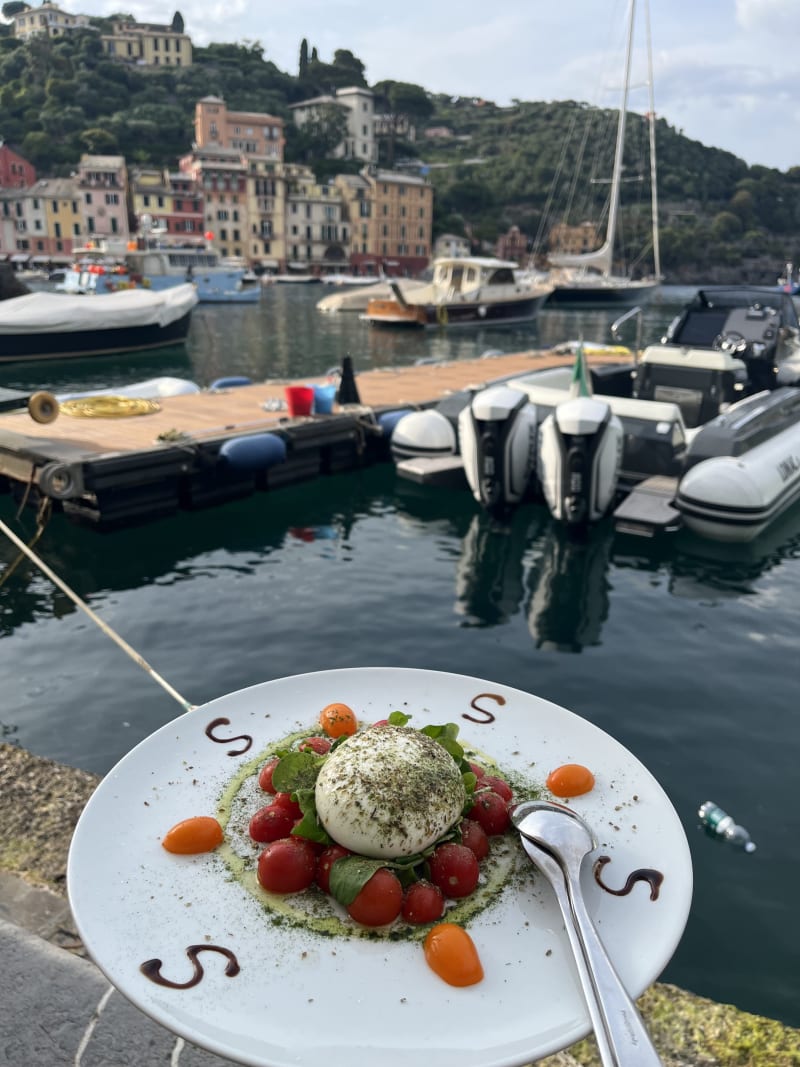 Strainer in Portofino Restaurant Reviews, Menu and Prices TheFork