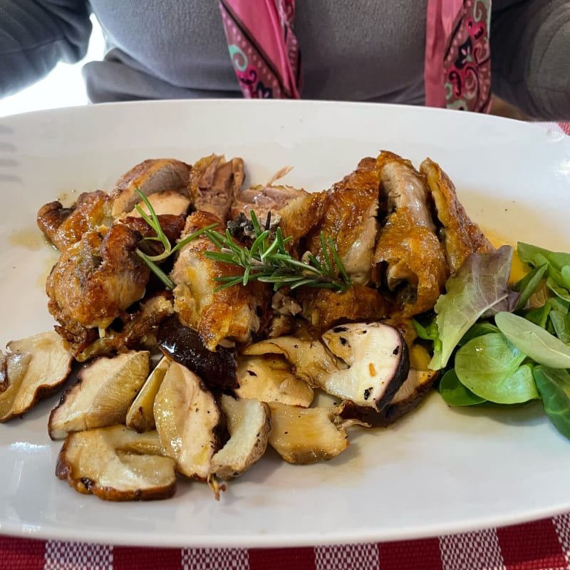 Faraona con porcini - Enoteca Nuvolari, Castellina in Chianti