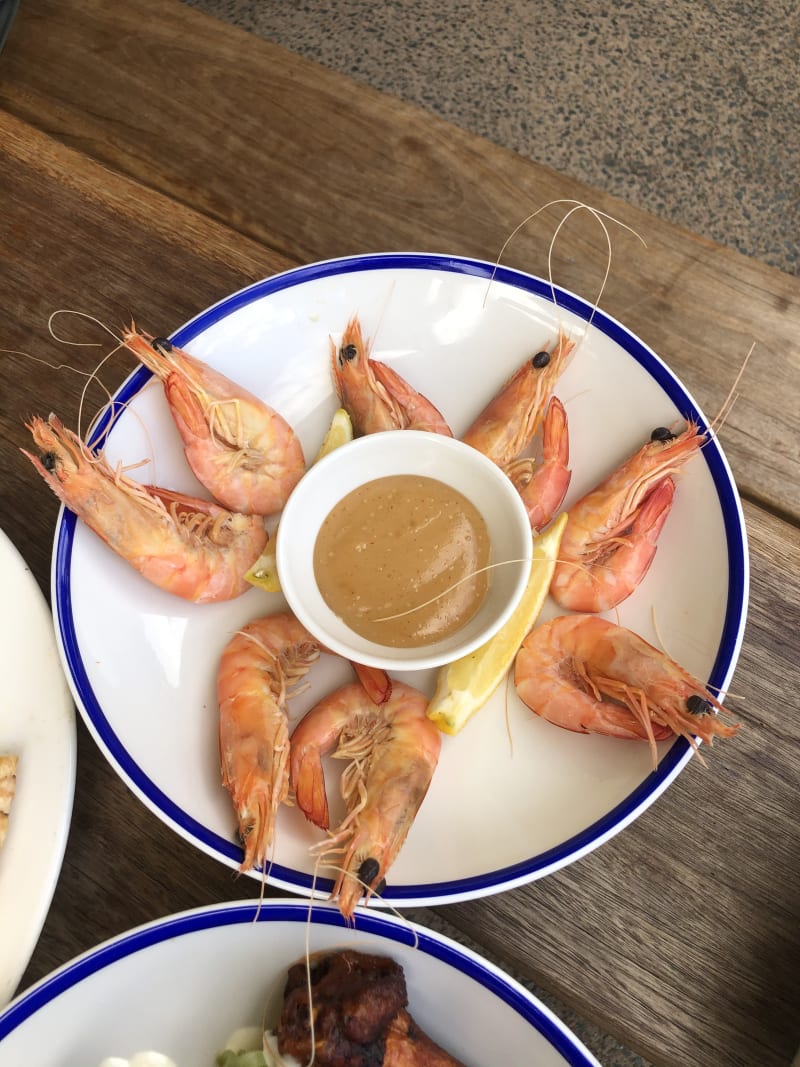 Breakfast Creek Hotel Staghorn Beer Garden in Wilsonton Bewertungen, Speisekarte und Preise