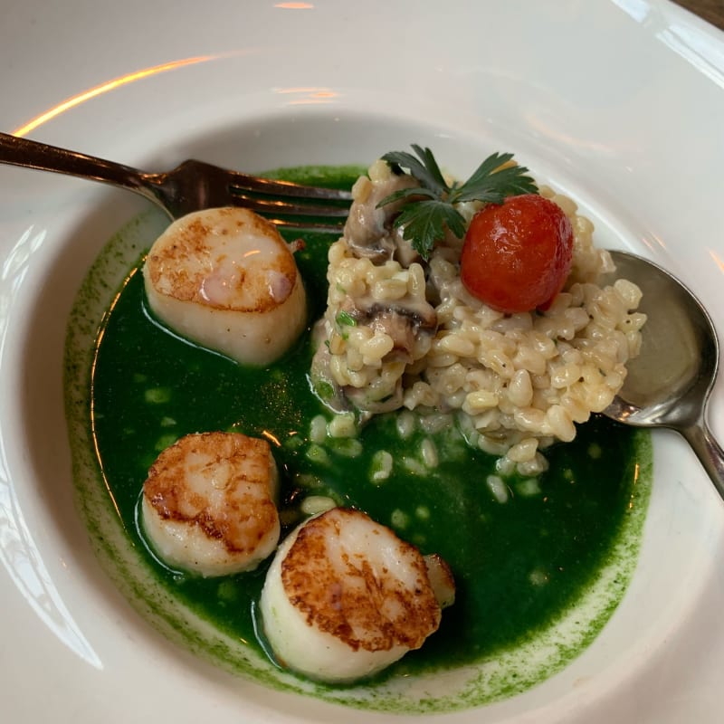 Risotto met coquilles - Brasserie Mariadal, Zaventem