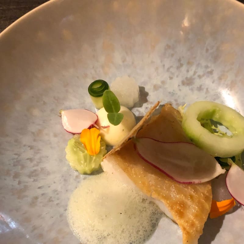 Cucumber and fish - Bistro La Cloche, Leiden