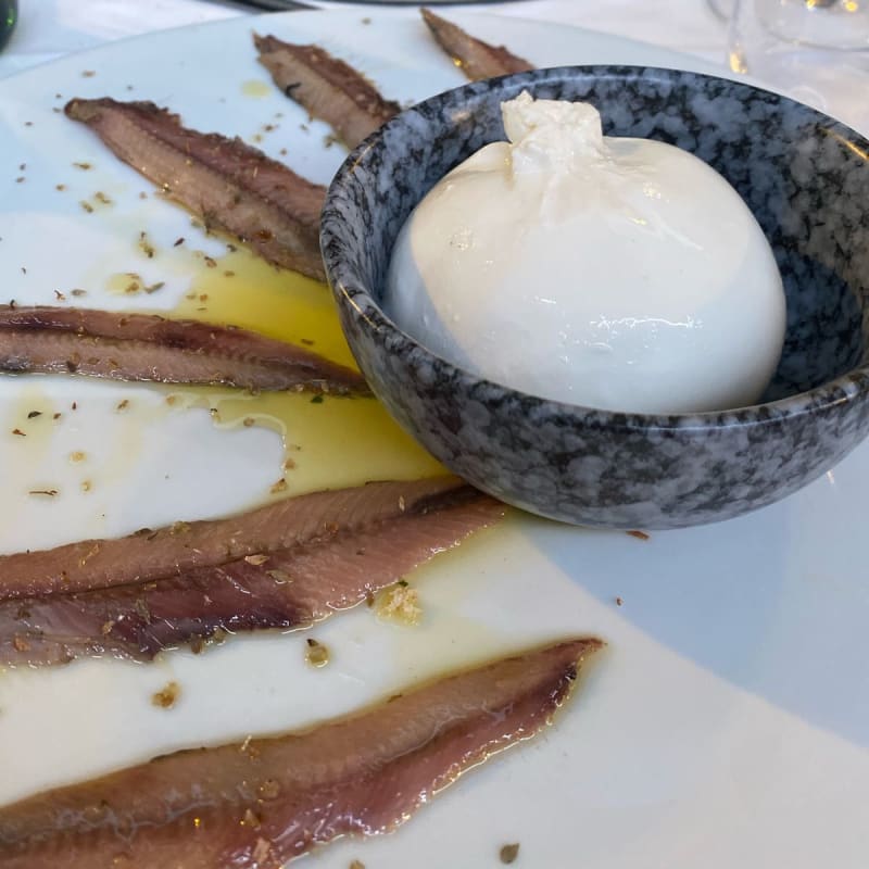 Alici con burrata pugliese  - Il Calandrino