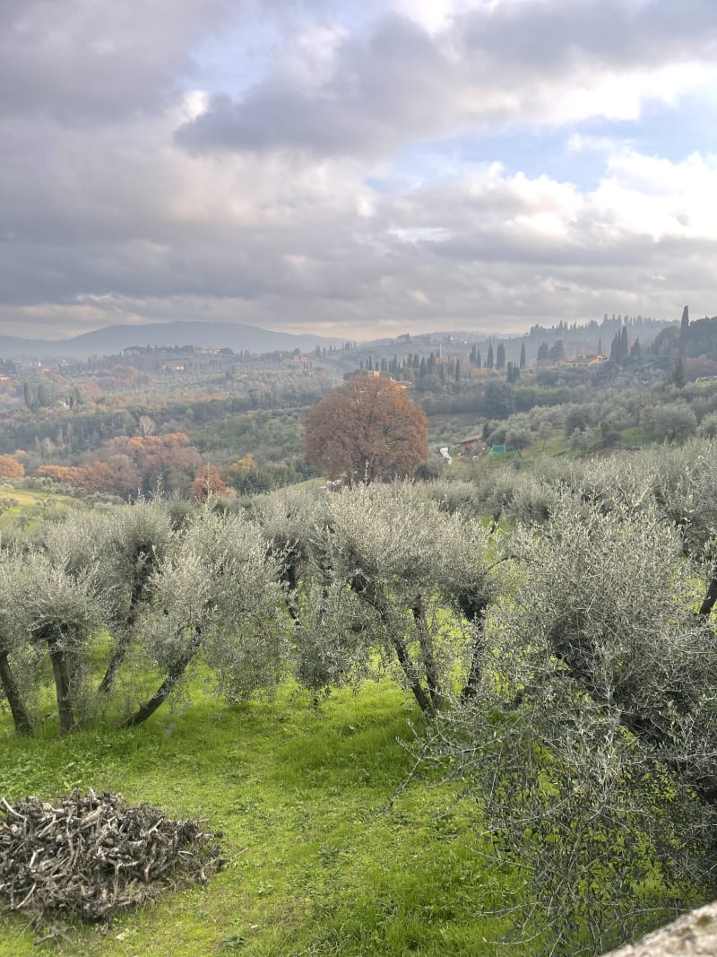 Trattoria Omero, Florence