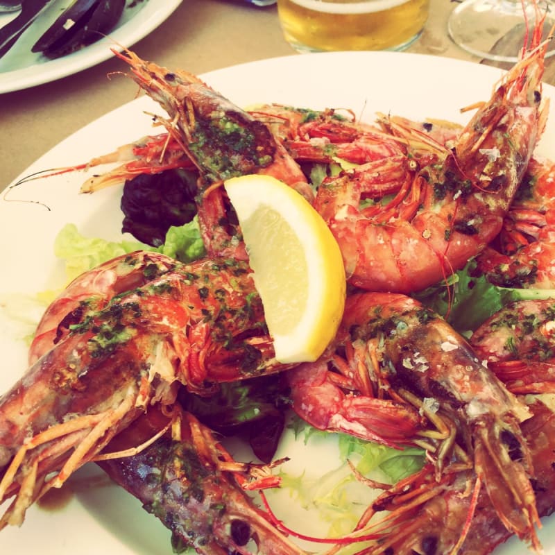 Súper gambes!! - Varadero, Tarragona