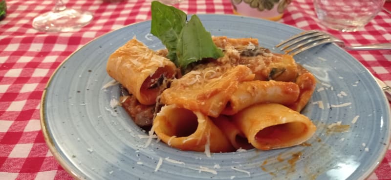 Paccheri Alla Norma - Pastificio Cuomo Bistrot