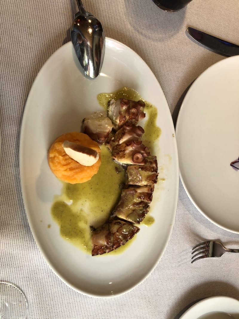 Pulpo - El Barril de Recoletos, Madrid