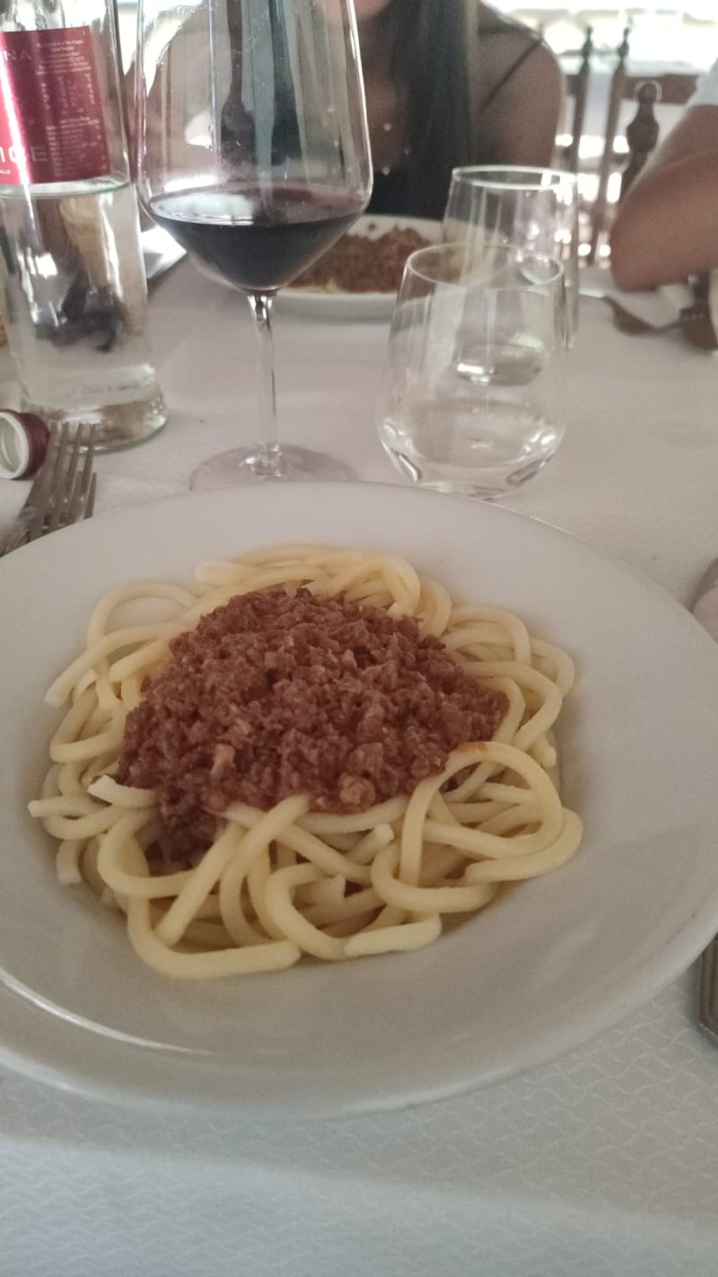 Il Castagno da Nichi a Sassetta