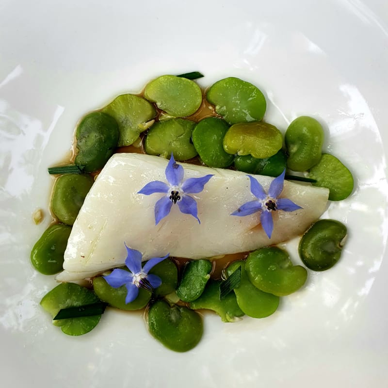 Heilbot met tuinbonen in bouillon  - Boompjes Restaurant, Overloon