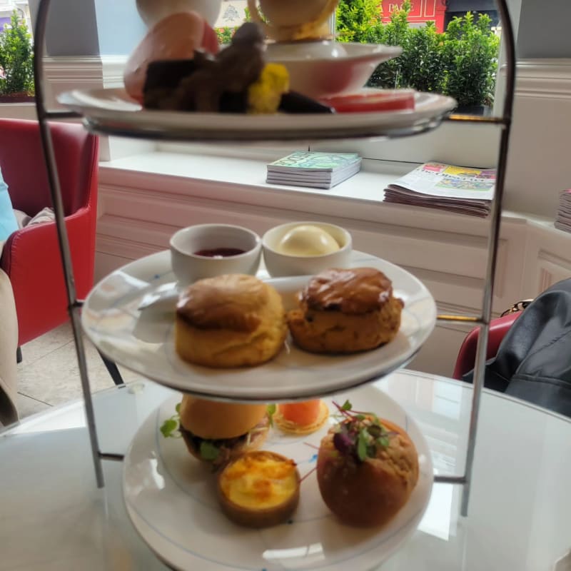 Science Afternoon Tea At The Drawing Rooms In London Bewertungen