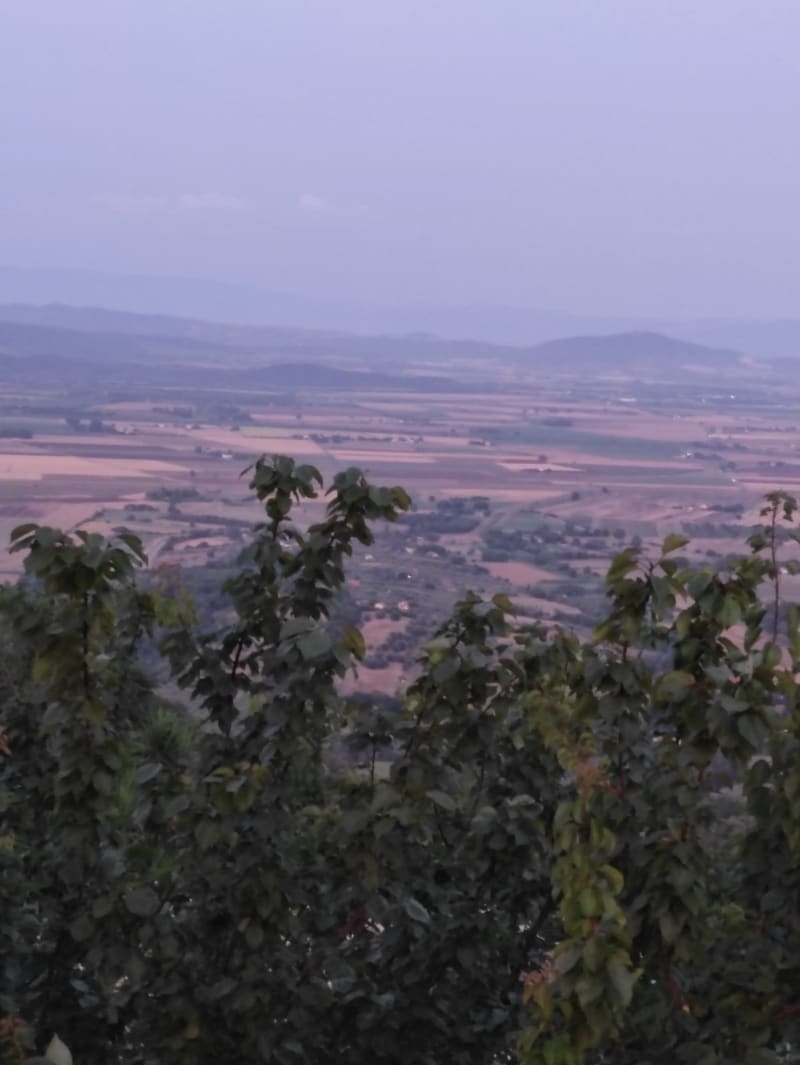 La Terrazza degli Etruschi