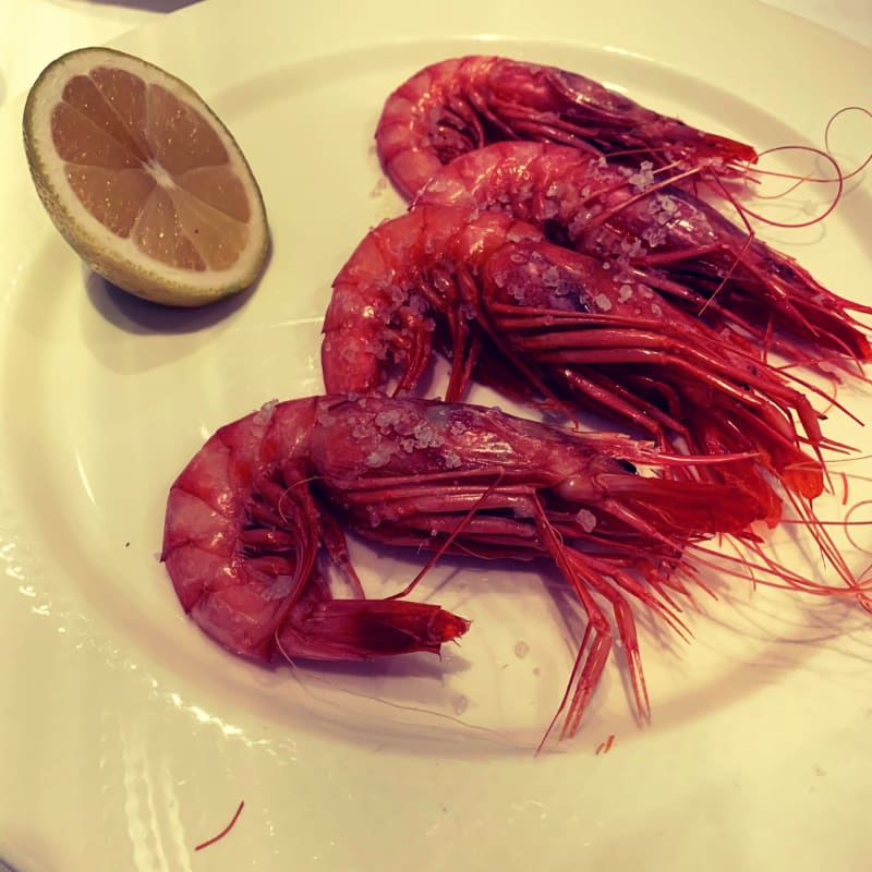 Gamba roja de santa Pola - Alborada, Murcia