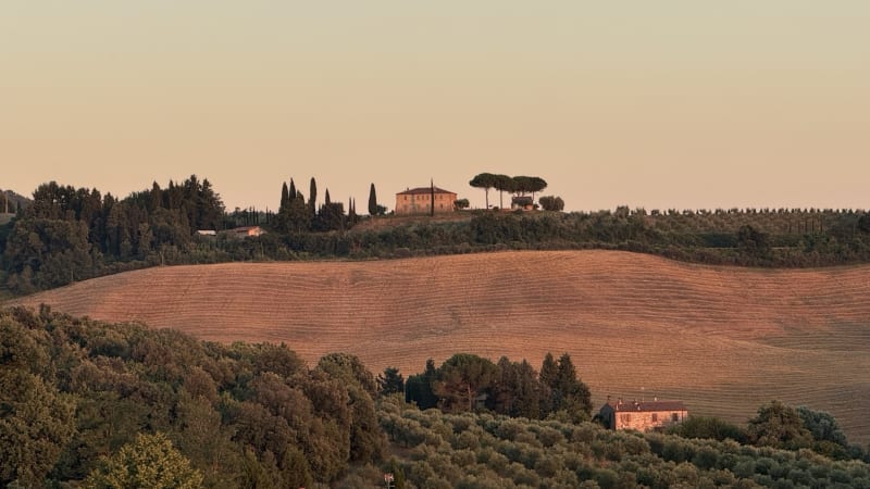 Ristorante Conte Matto