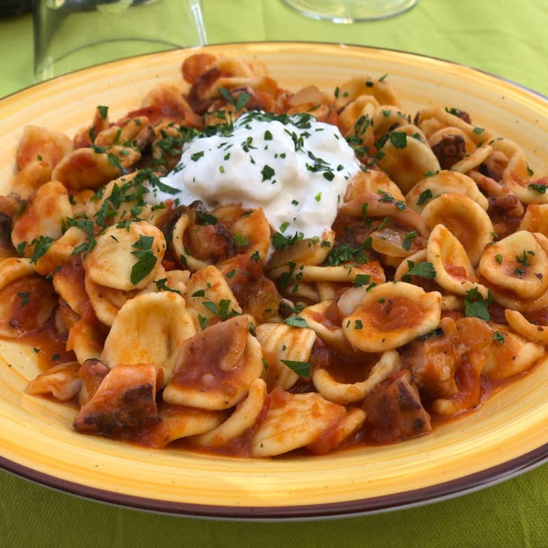 Orecchiette al sugo di polpo con stracciatella  - Bio 72 - Cucina Tipica Pugliese, Bari