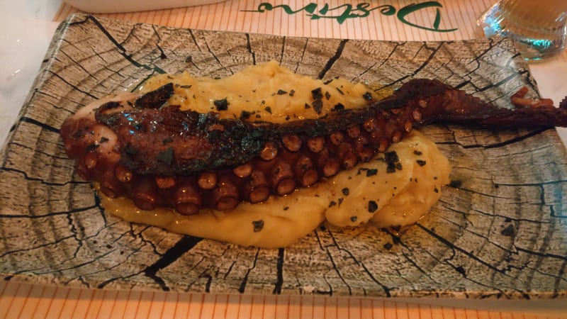 Pulpo a la brasa - Destino Raíz, Móstoles