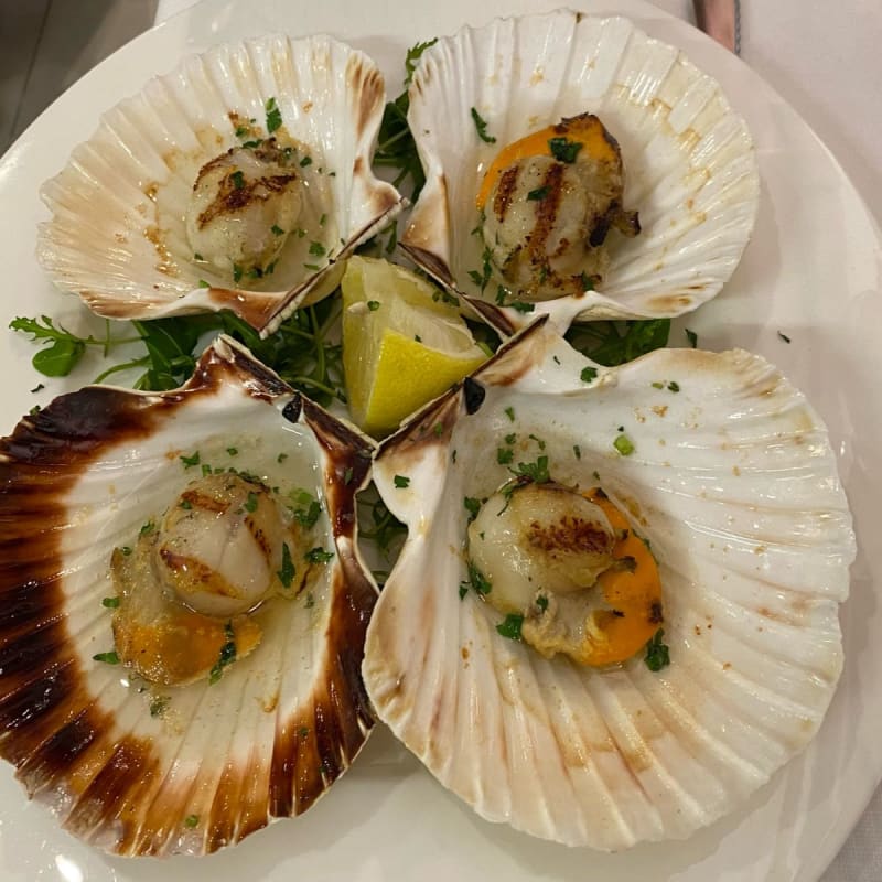 Scallops  - Trattoria Rialto Novo, Venice