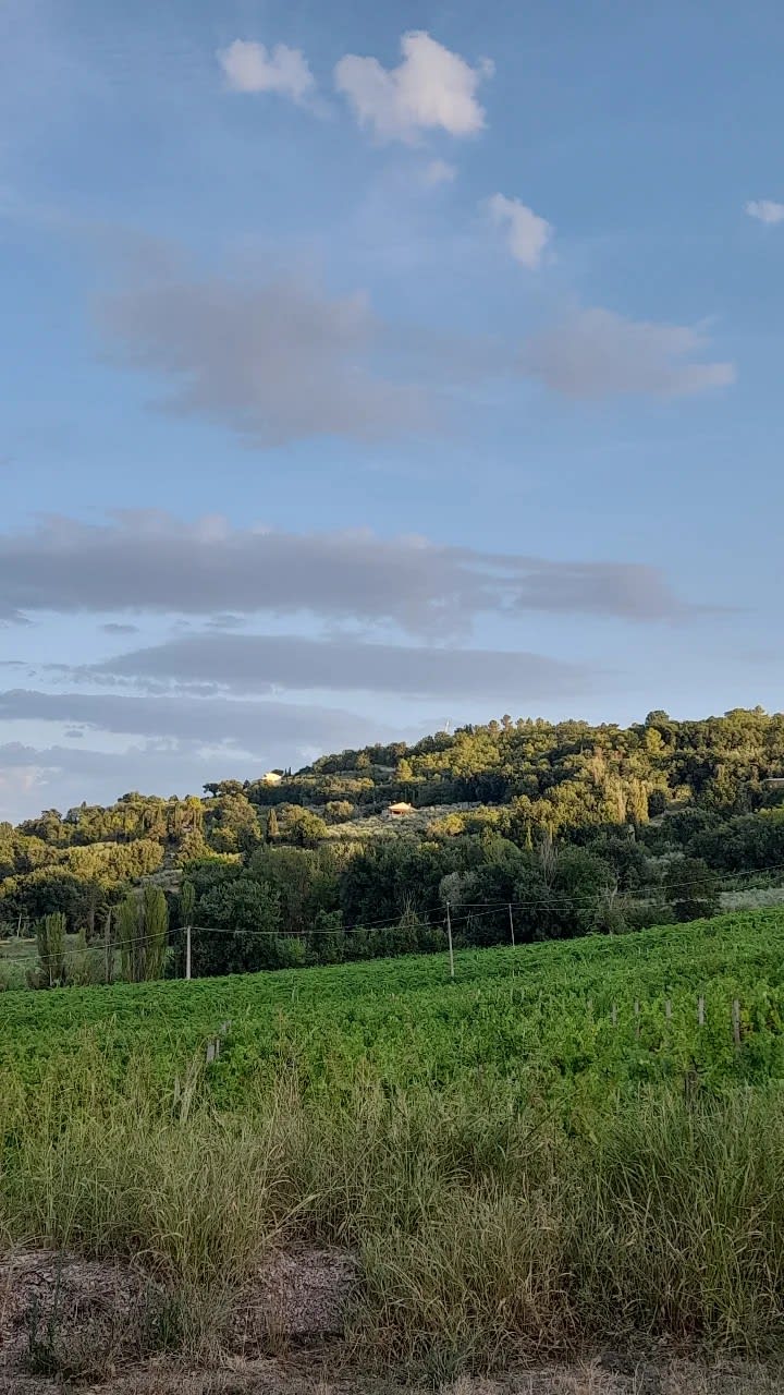 Agricola Mevante, Bevagna