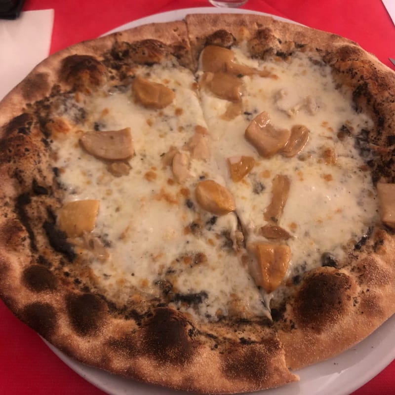 Pizza con crema tartufata, mozzarella, gorgonzola e porcini, ottima!!! - Pizzeria La Cittadella di Moruzzi