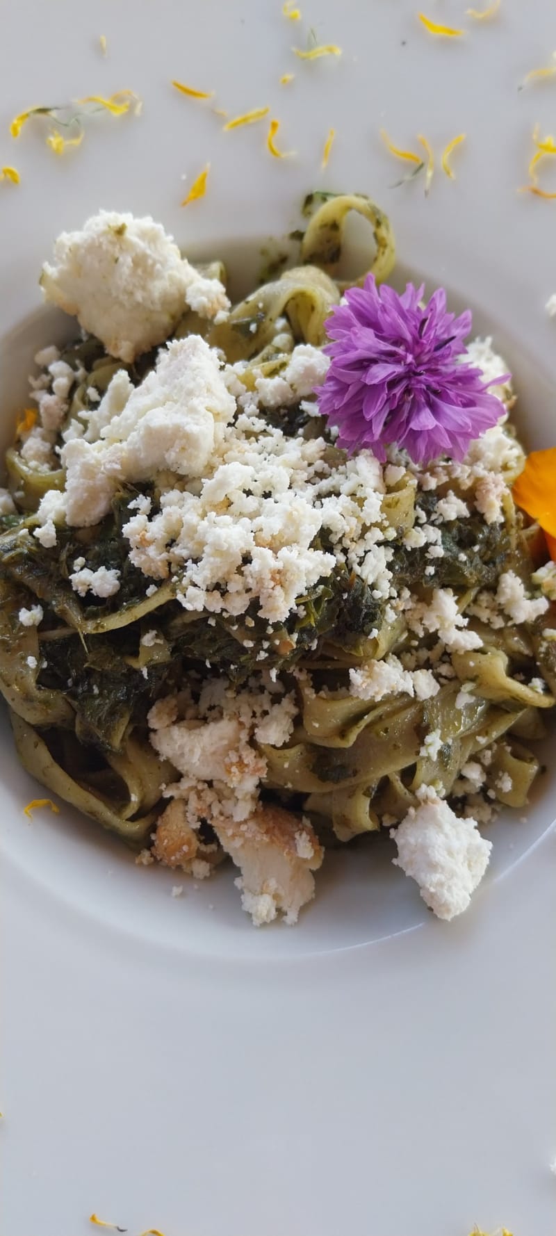 Tagliatelle al pesto di basilico e ricotta affumicata - Agritur allo stesso campo