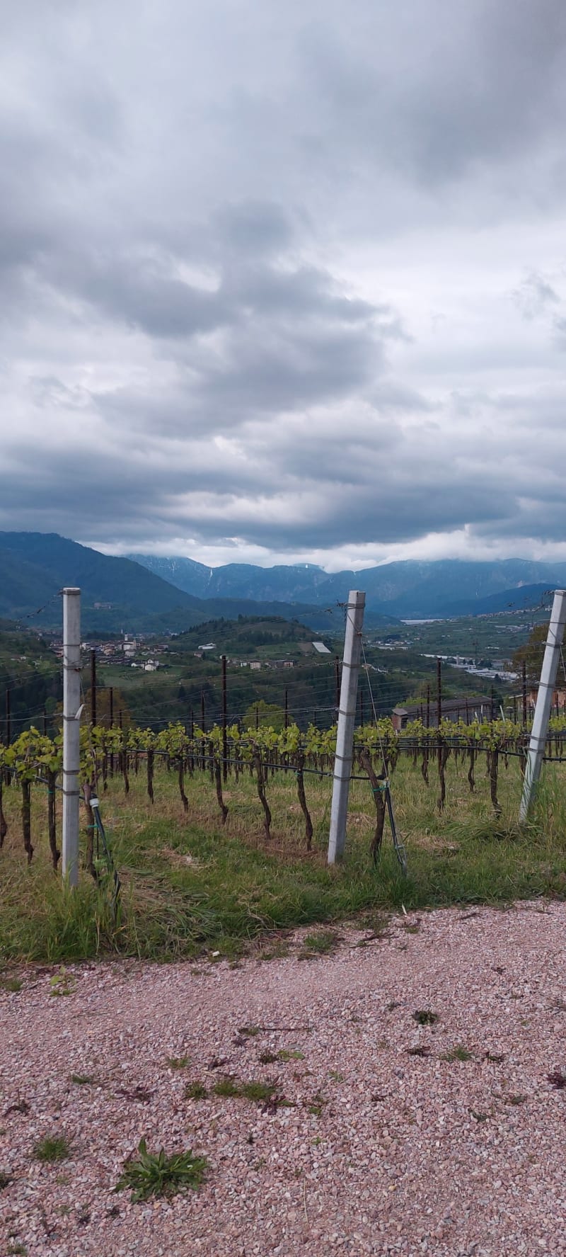 Agritur allo stesso campo