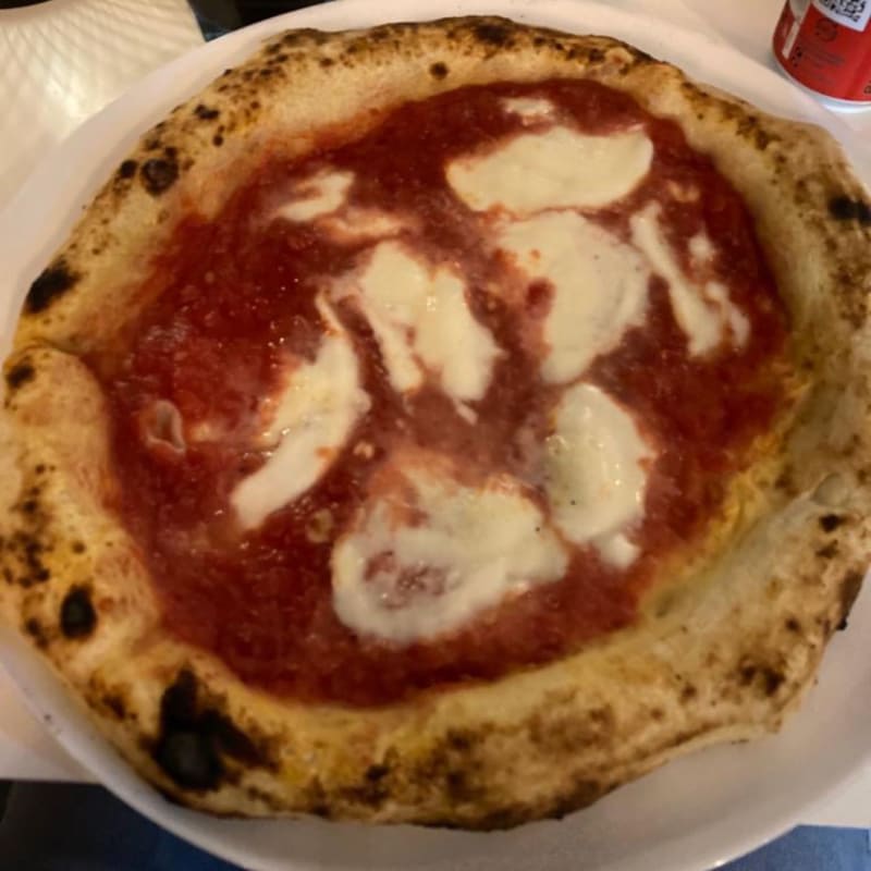 pizza bufala - Pizzeria Elsa, Milan