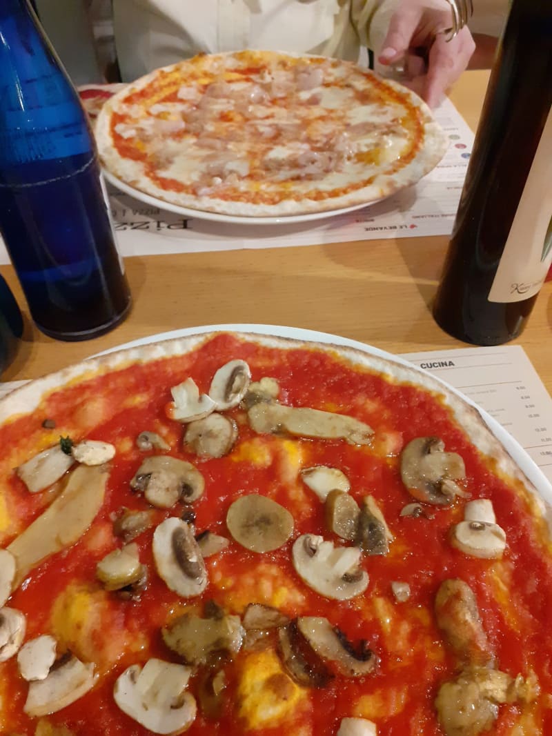 Pizzikotto Rovigo, Rovigo